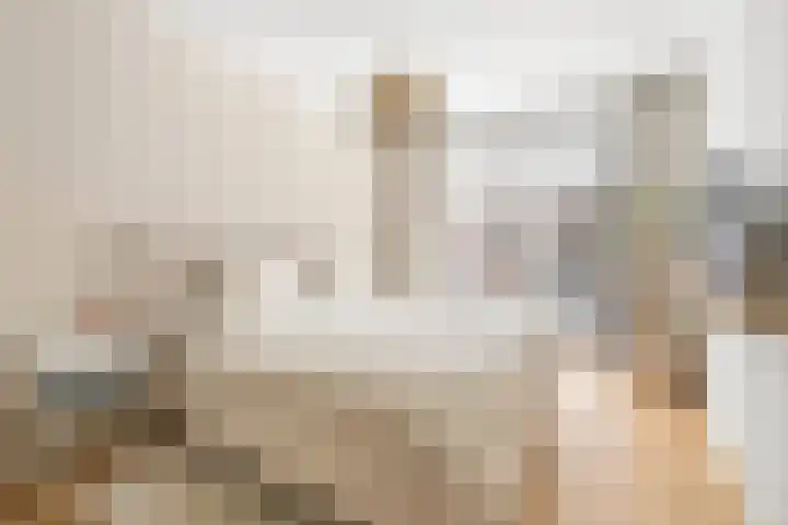 Nida Senffstraat 7 Amsterdam thumbnail 22