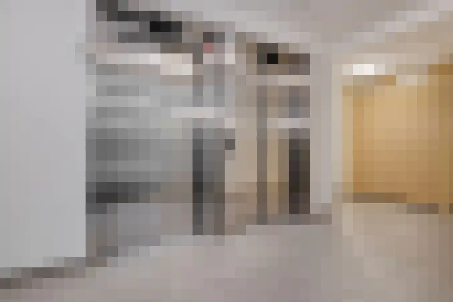 Nida Senffstraat 91 Amsterdam thumbnail 26