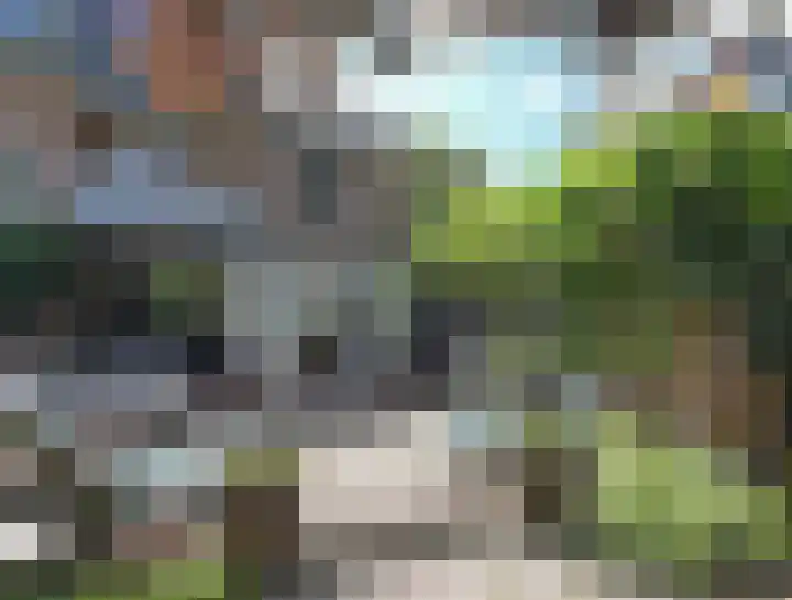Nieboerweg 208 Den Haag thumbnail 23