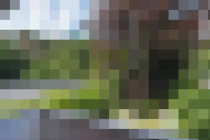 Nieboerweg 208 Den Haag thumbnail 33
