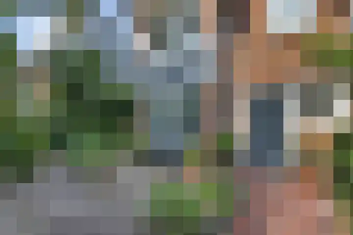 Nieboerweg 208 Den Haag thumbnail 5