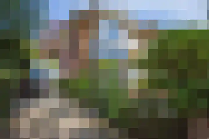 Nieboerweg 208 Den Haag thumbnail 57