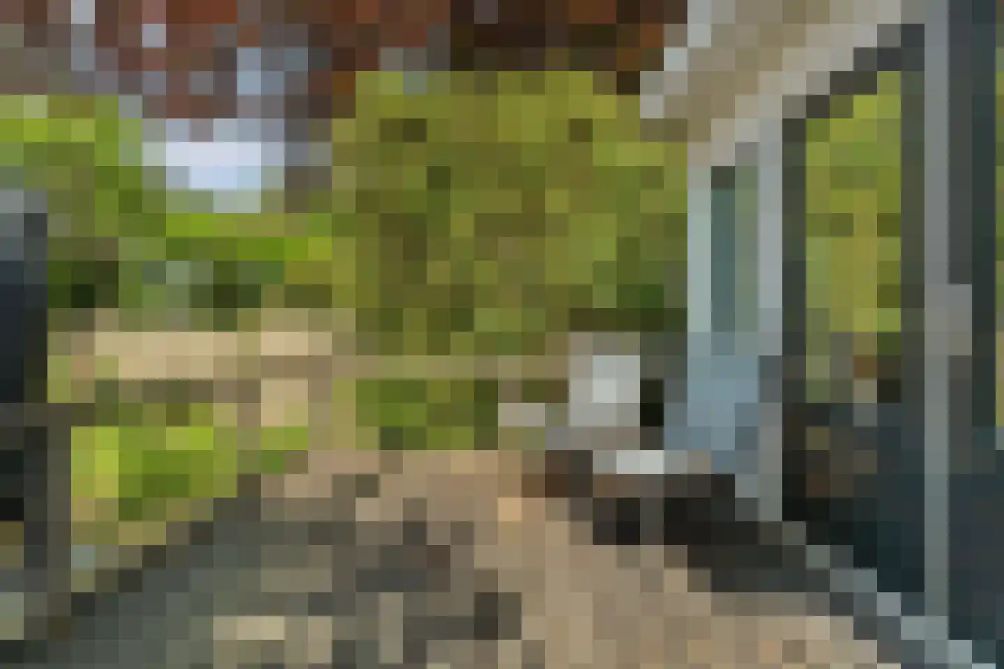 Nieboerweg 210 Den Haag thumbnail 37