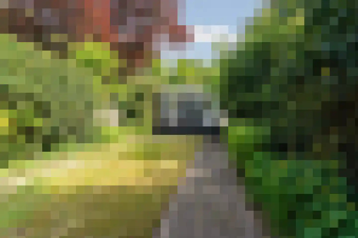 Nieboerweg 210 Den Haag thumbnail 4