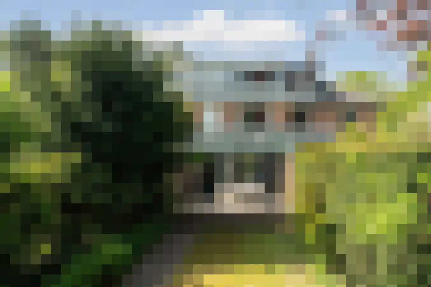 Nieboerweg 210 Den Haag thumbnail 57