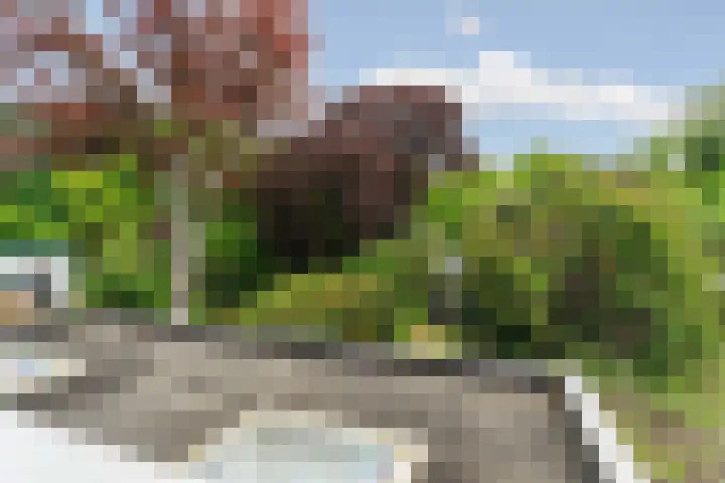 Nieboerweg 210 Den Haag thumbnail 71