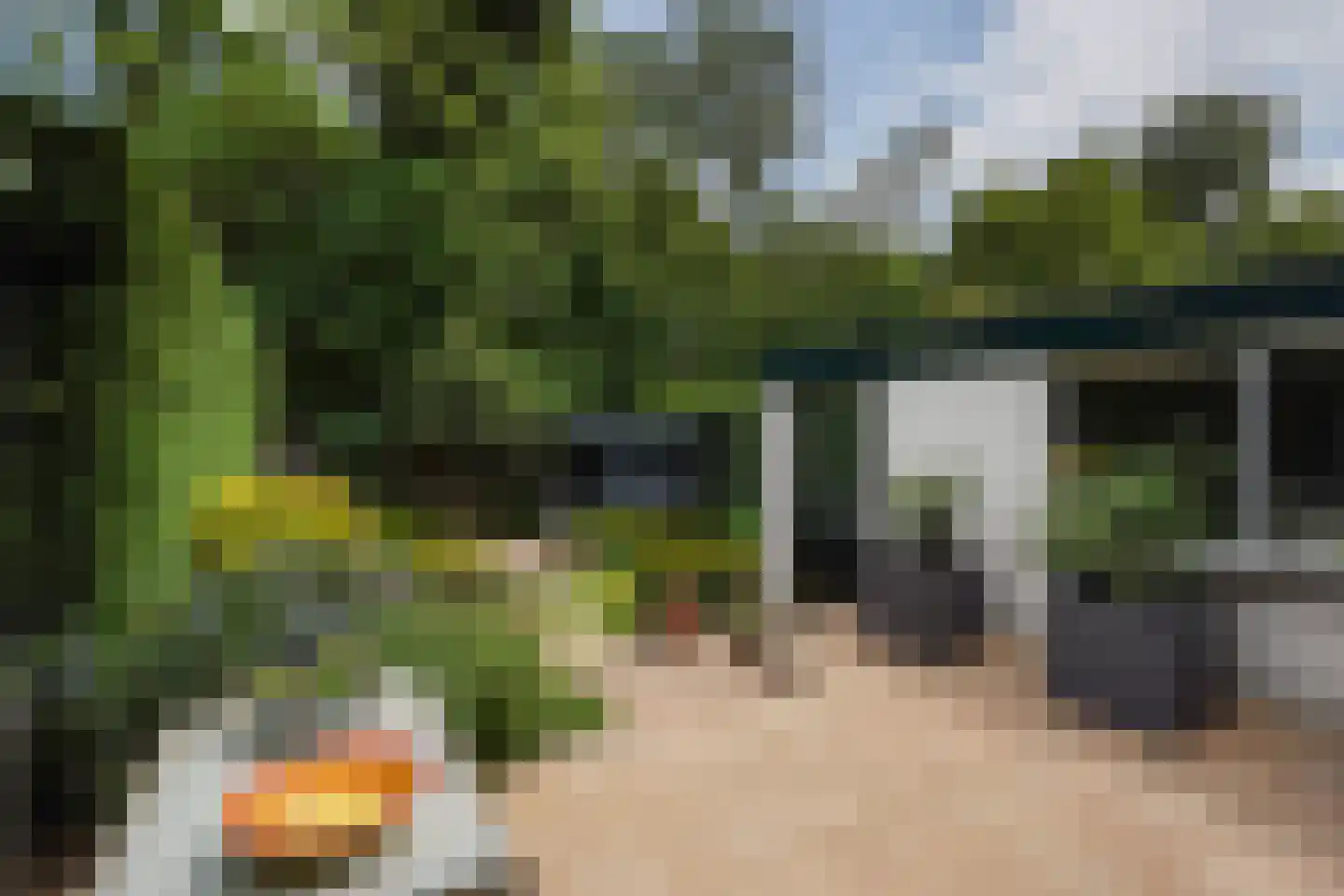 Nieboerweg 216 Den Haag thumbnail 25