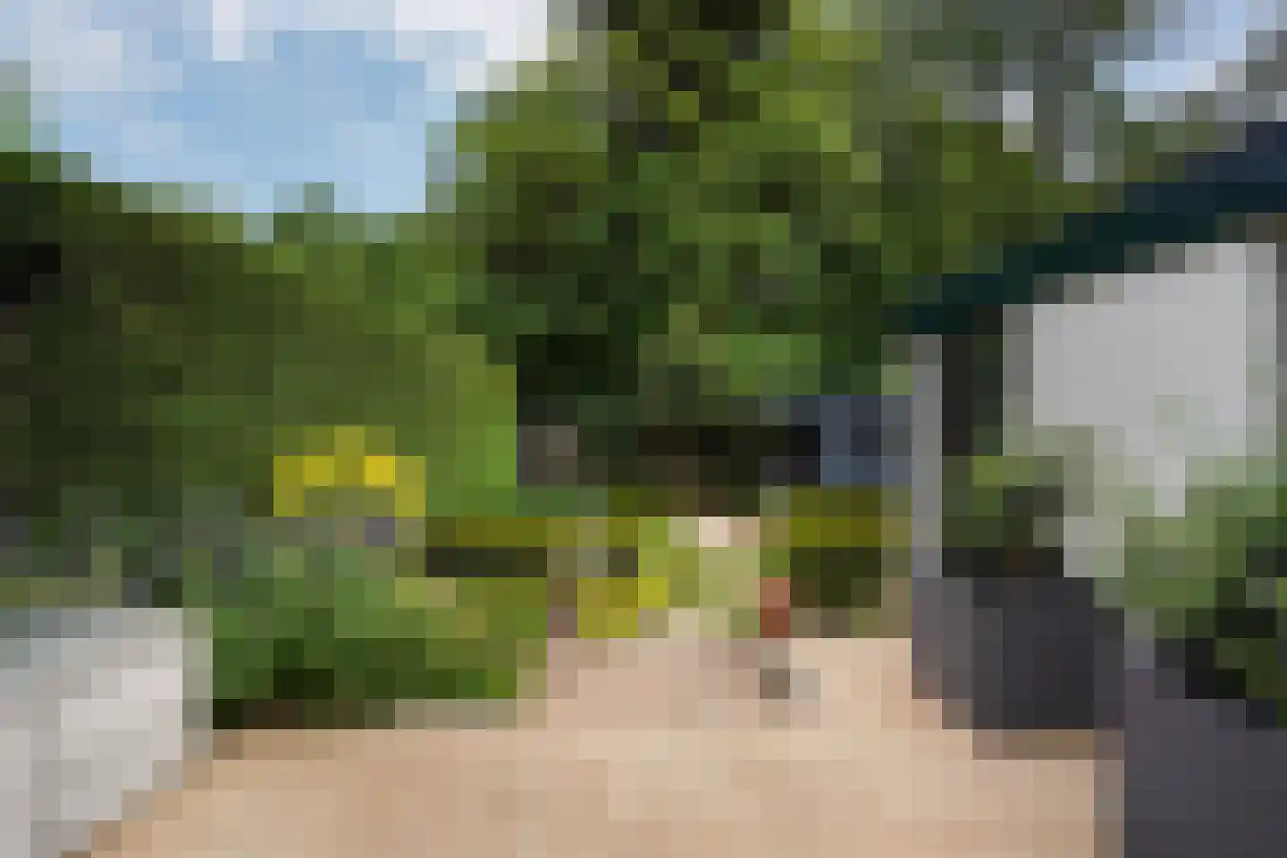 Nieboerweg 216 Den Haag thumbnail 27