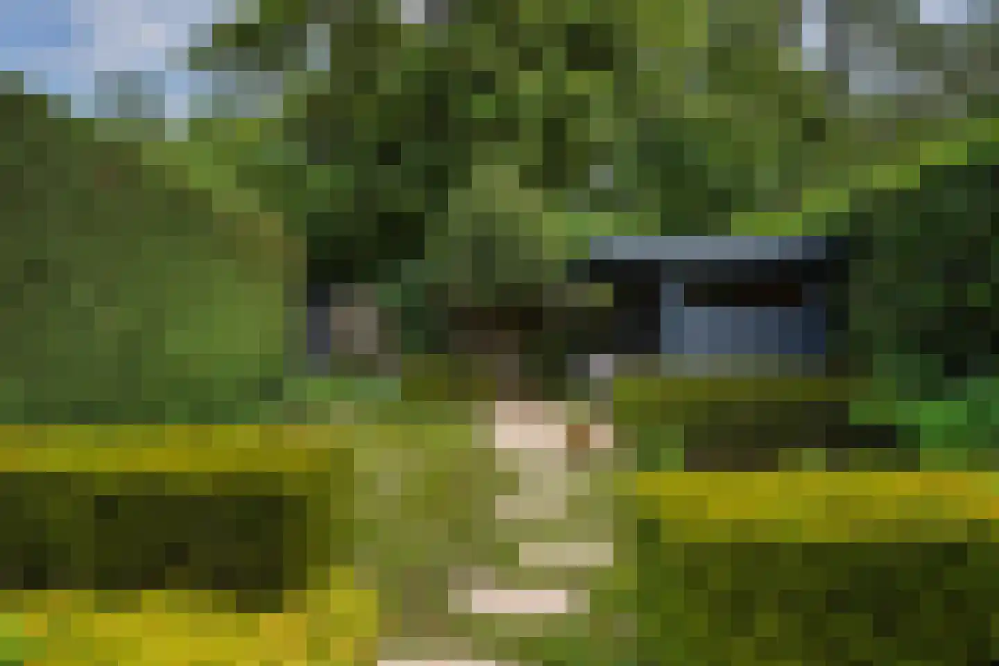 Nieboerweg 216 Den Haag thumbnail 28