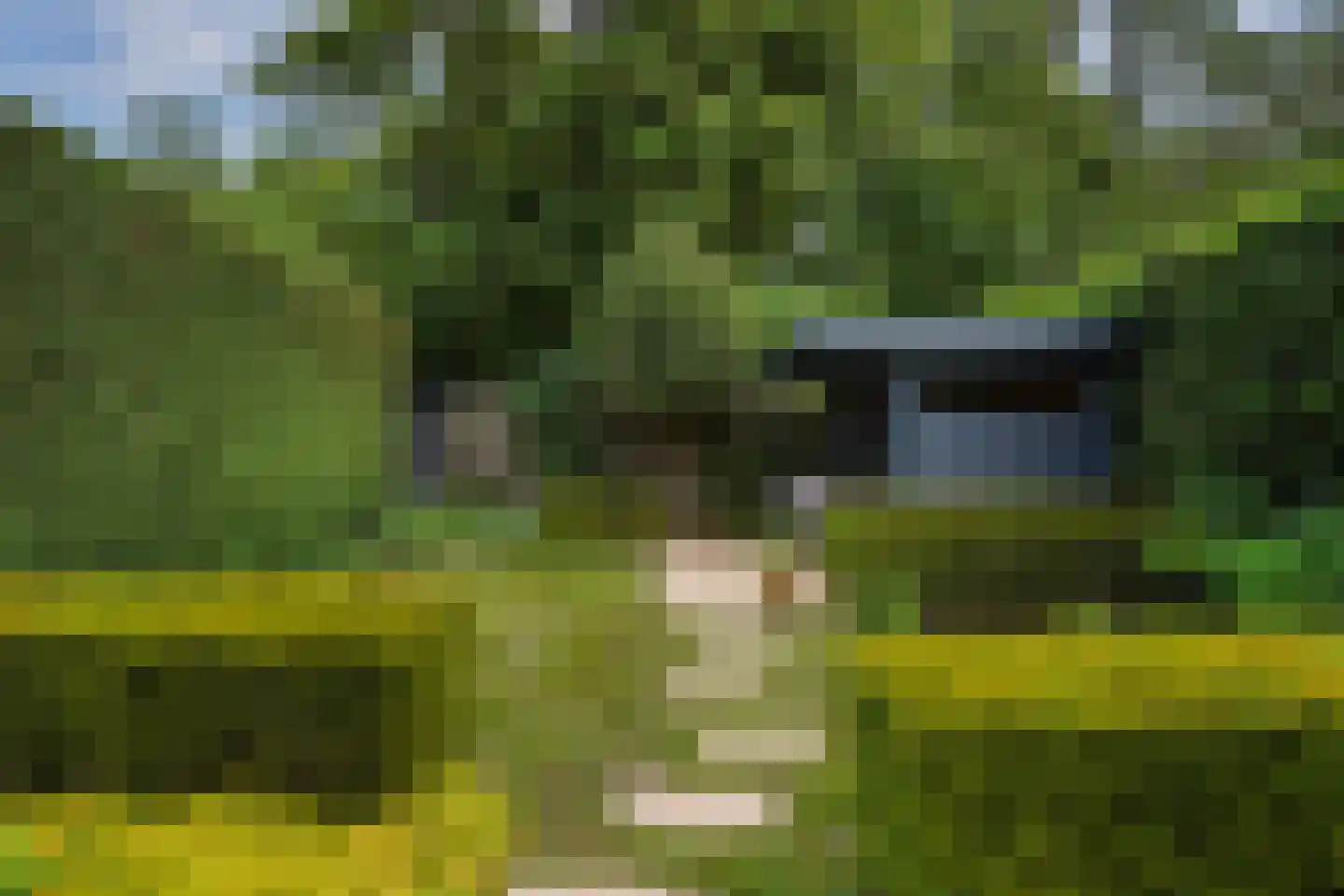 Nieboerweg 216 Den Haag thumbnail 28