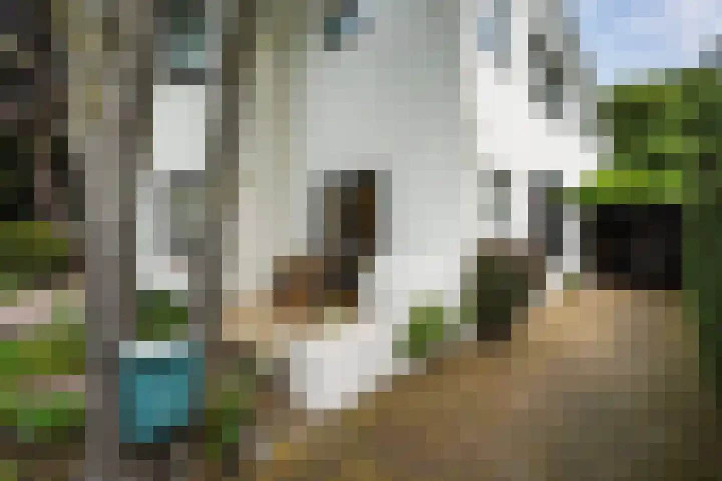 Nieboerweg 216 Den Haag thumbnail 5