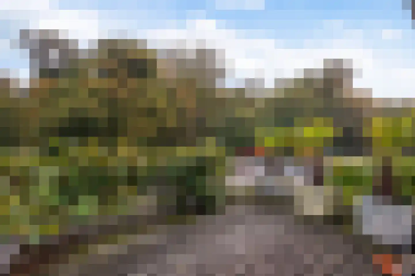 Nieboerweg 216 Den Haag thumbnail 51
