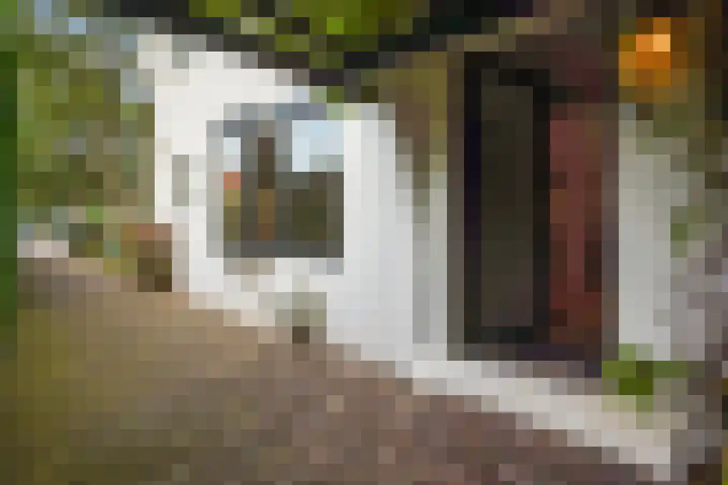 Nieboerweg 216 Den Haag thumbnail 55