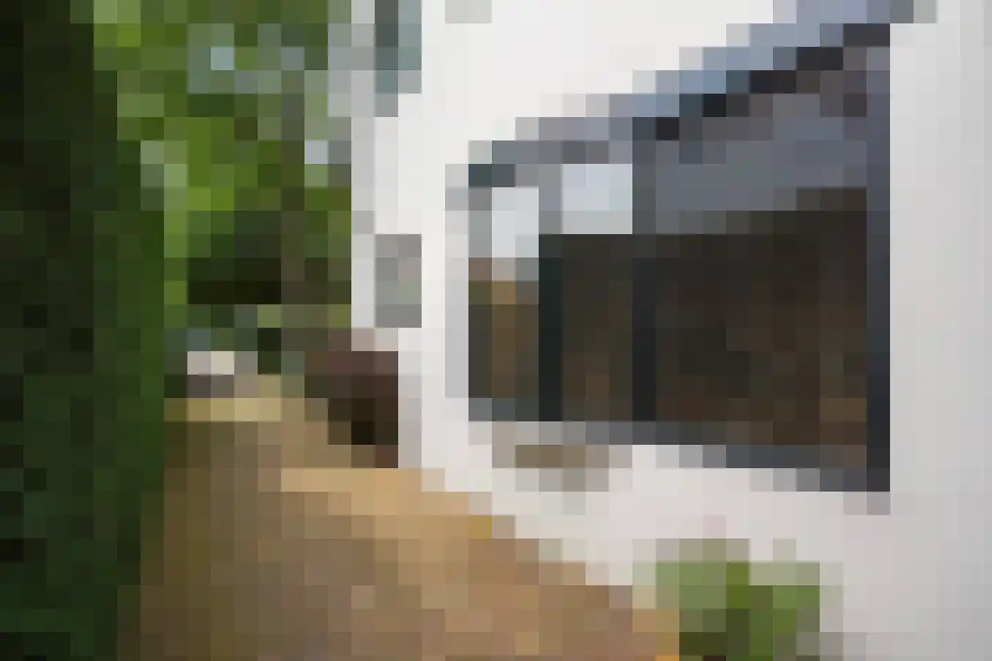 Nieboerweg 216 Den Haag thumbnail 56