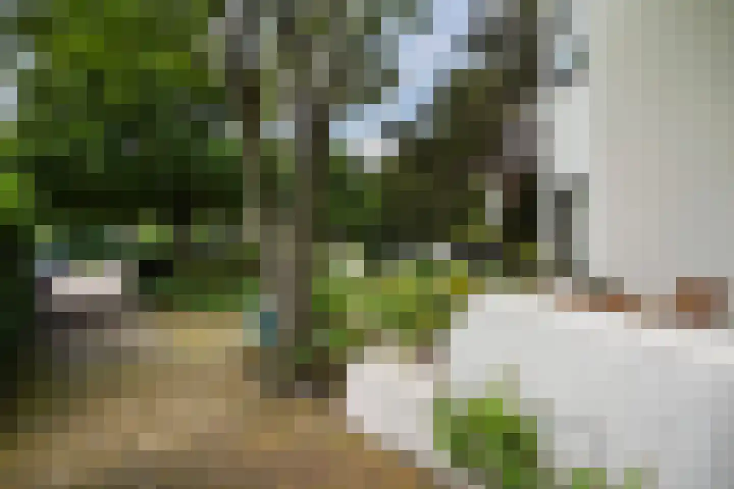 Nieboerweg 216 Den Haag thumbnail 57