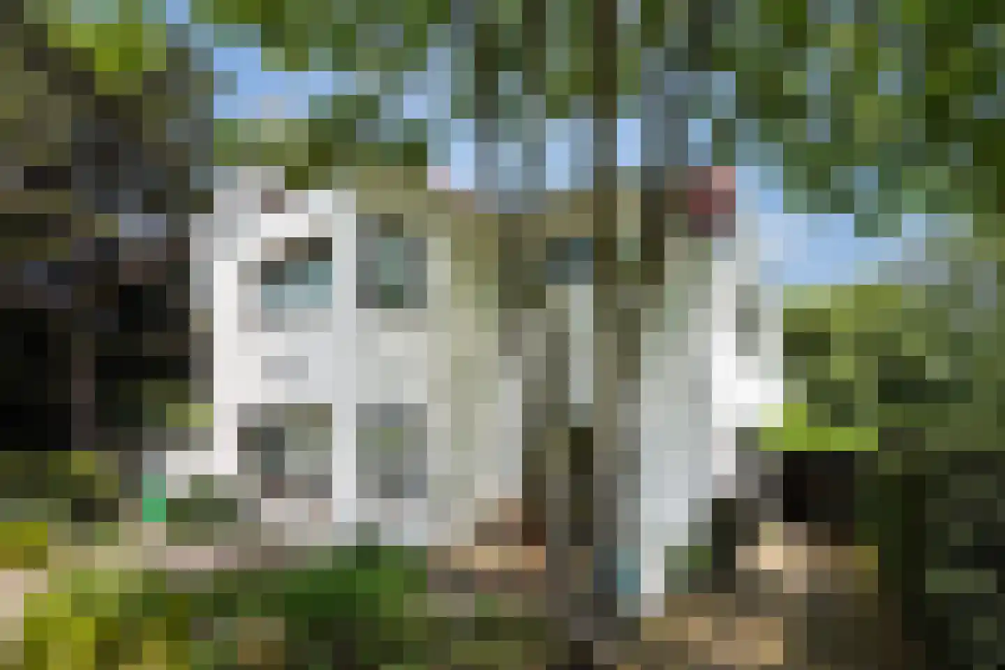 Nieboerweg 216 Den Haag thumbnail 58