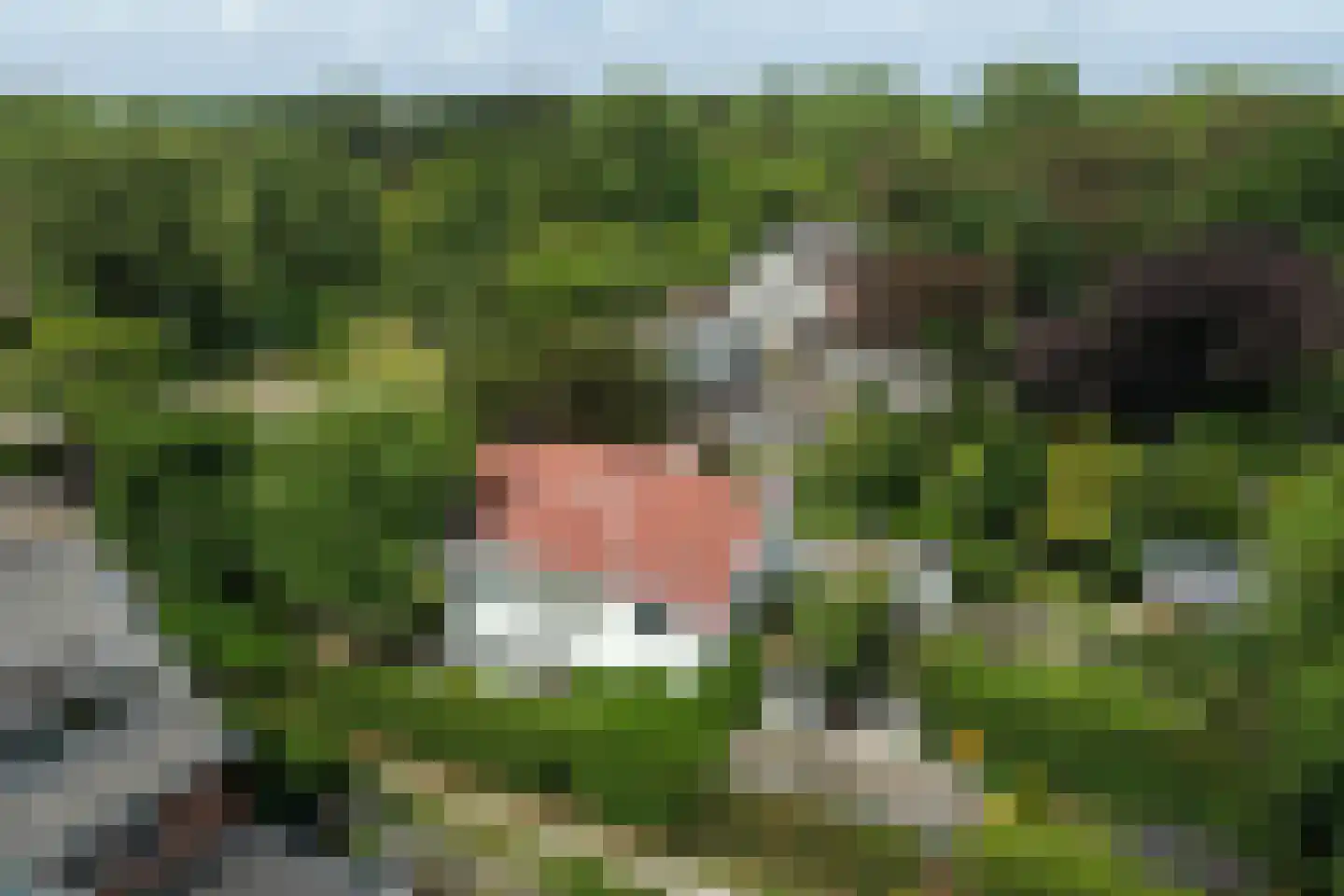 Nieboerweg 216 Den Haag thumbnail 62