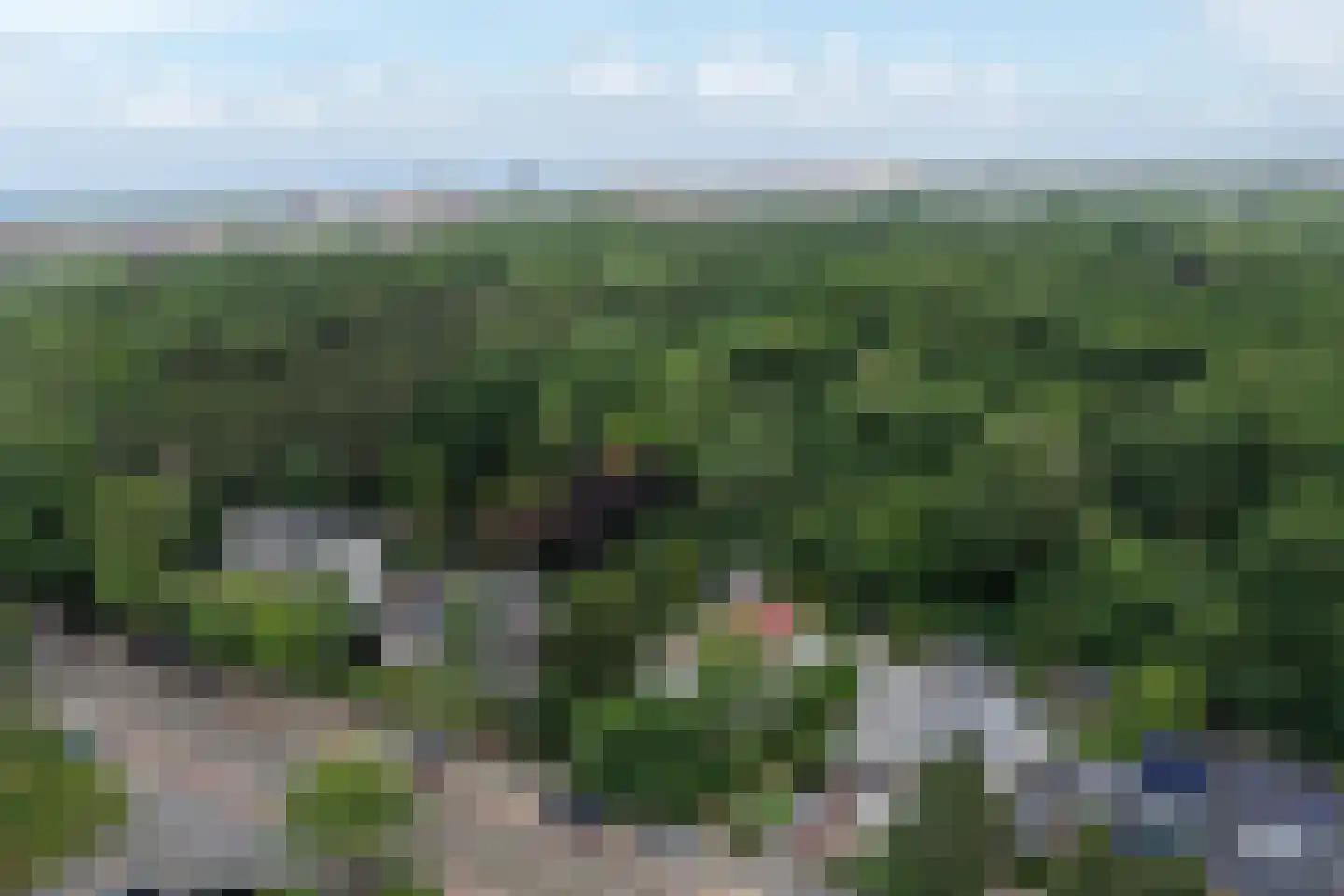 Nieboerweg 216 Den Haag thumbnail 63