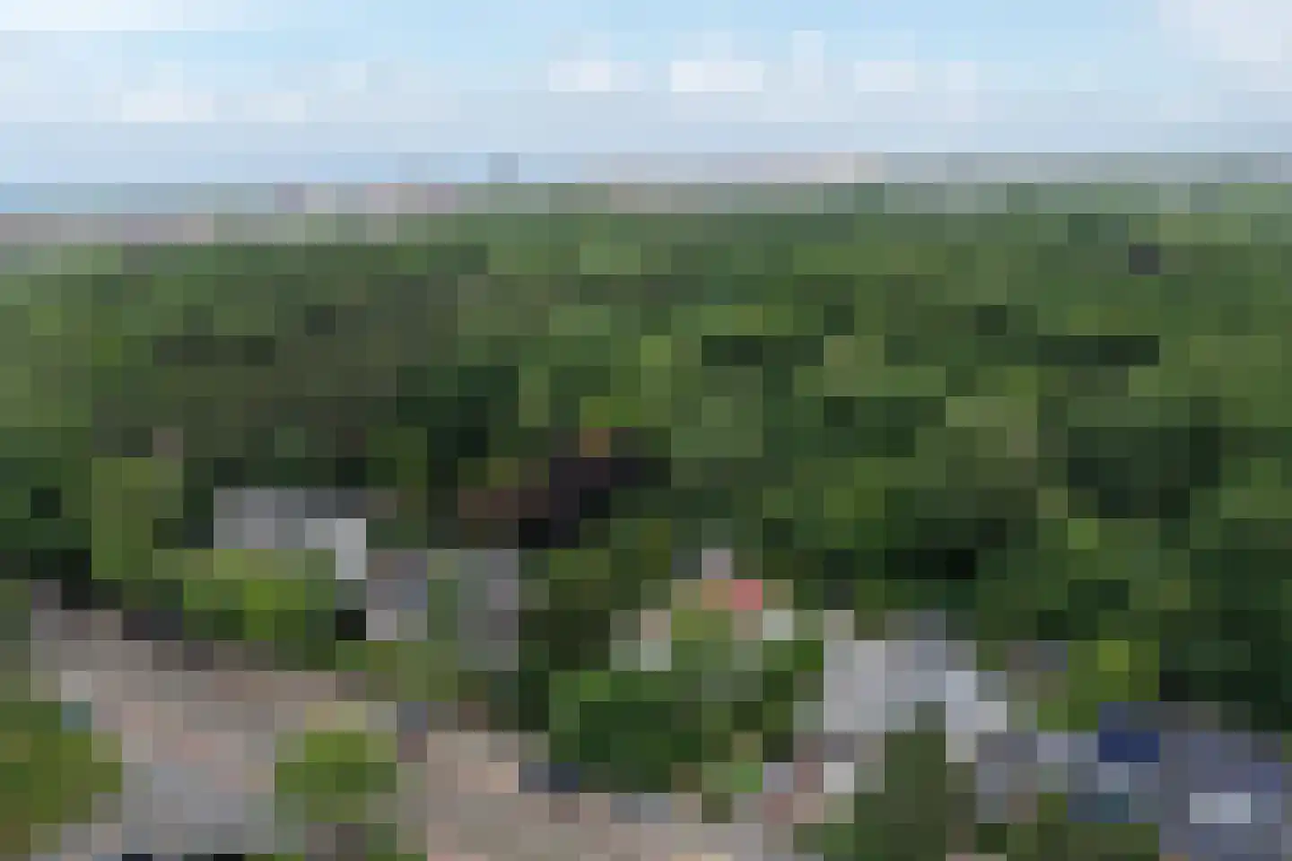 Nieboerweg 216 Den Haag thumbnail 63