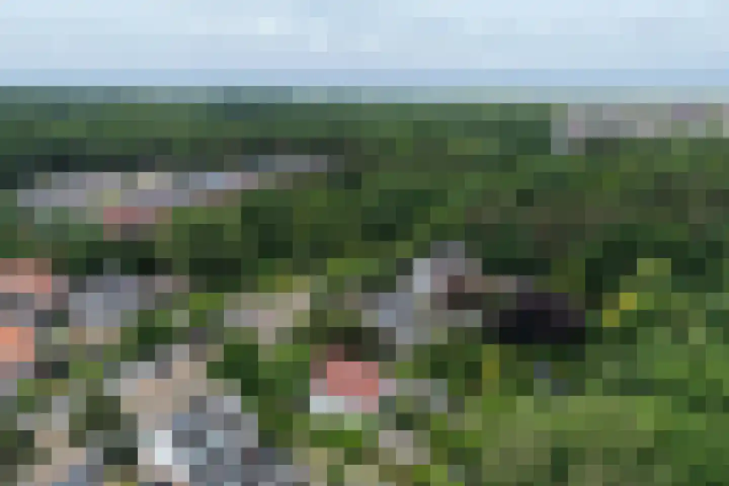 Nieboerweg 216 Den Haag thumbnail 64