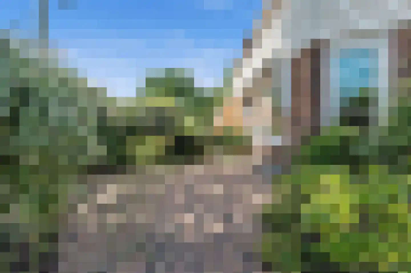 Nieboerweg 220 Den Haag thumbnail 11