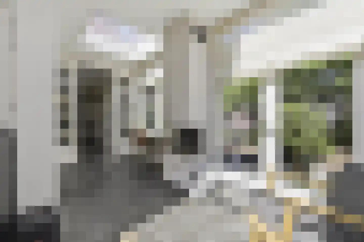 Nieboerweg 220 Den Haag thumbnail 31