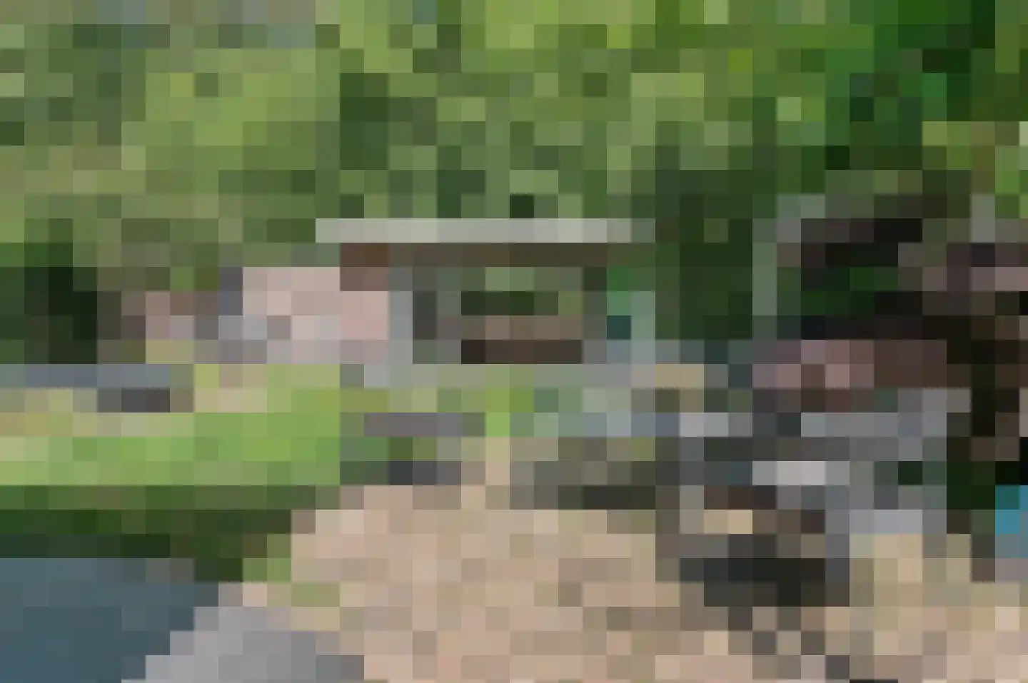 Nieboerweg 220 Den Haag thumbnail 35