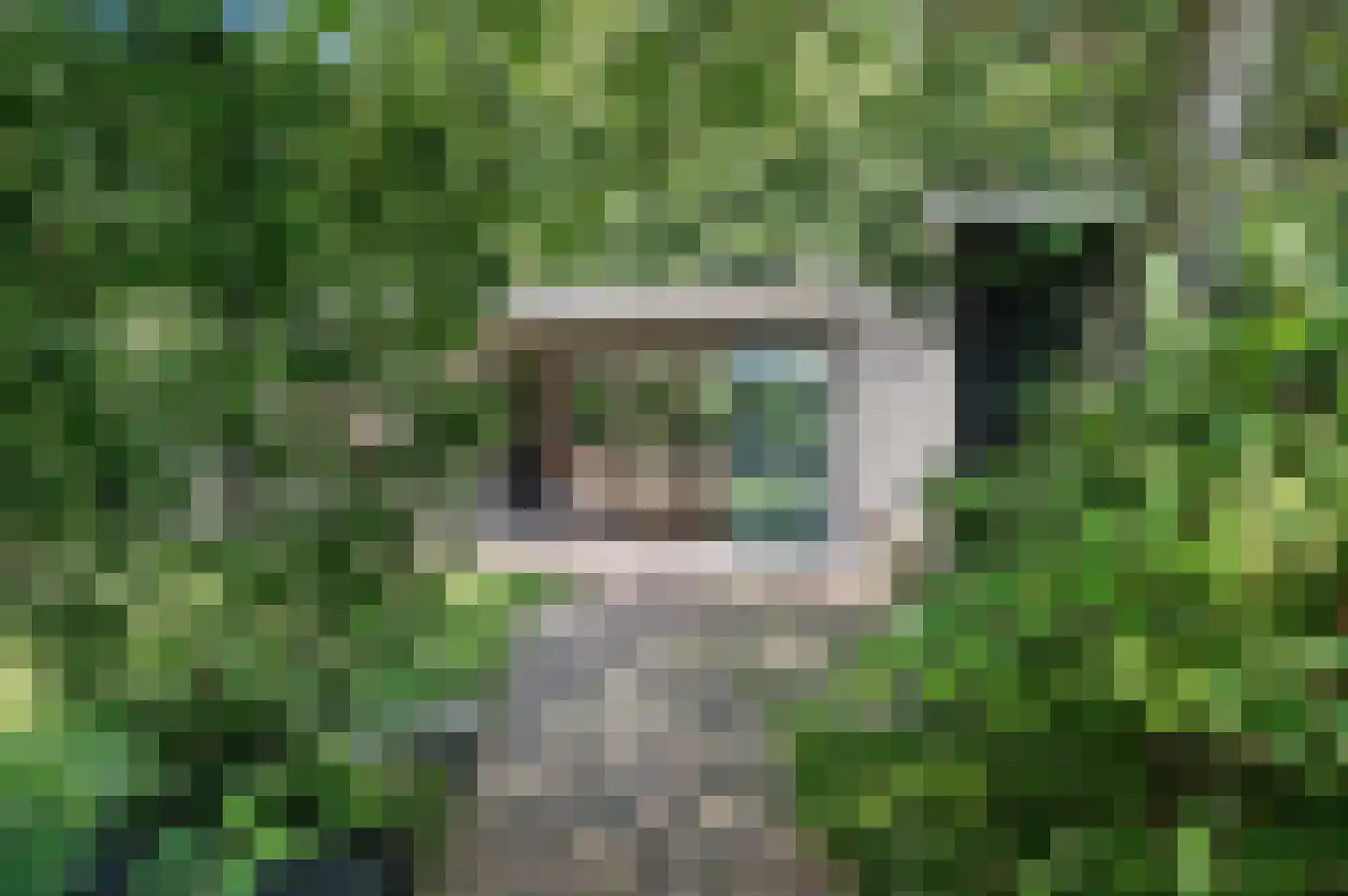 Nieboerweg 220 Den Haag thumbnail 39