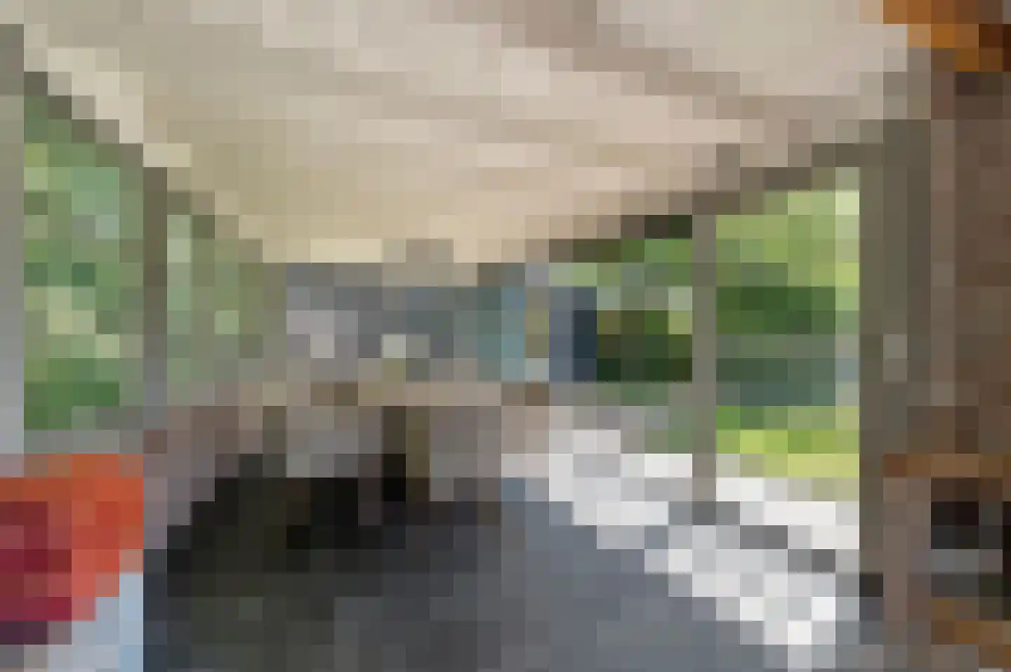 Nieboerweg 220 Den Haag thumbnail 42
