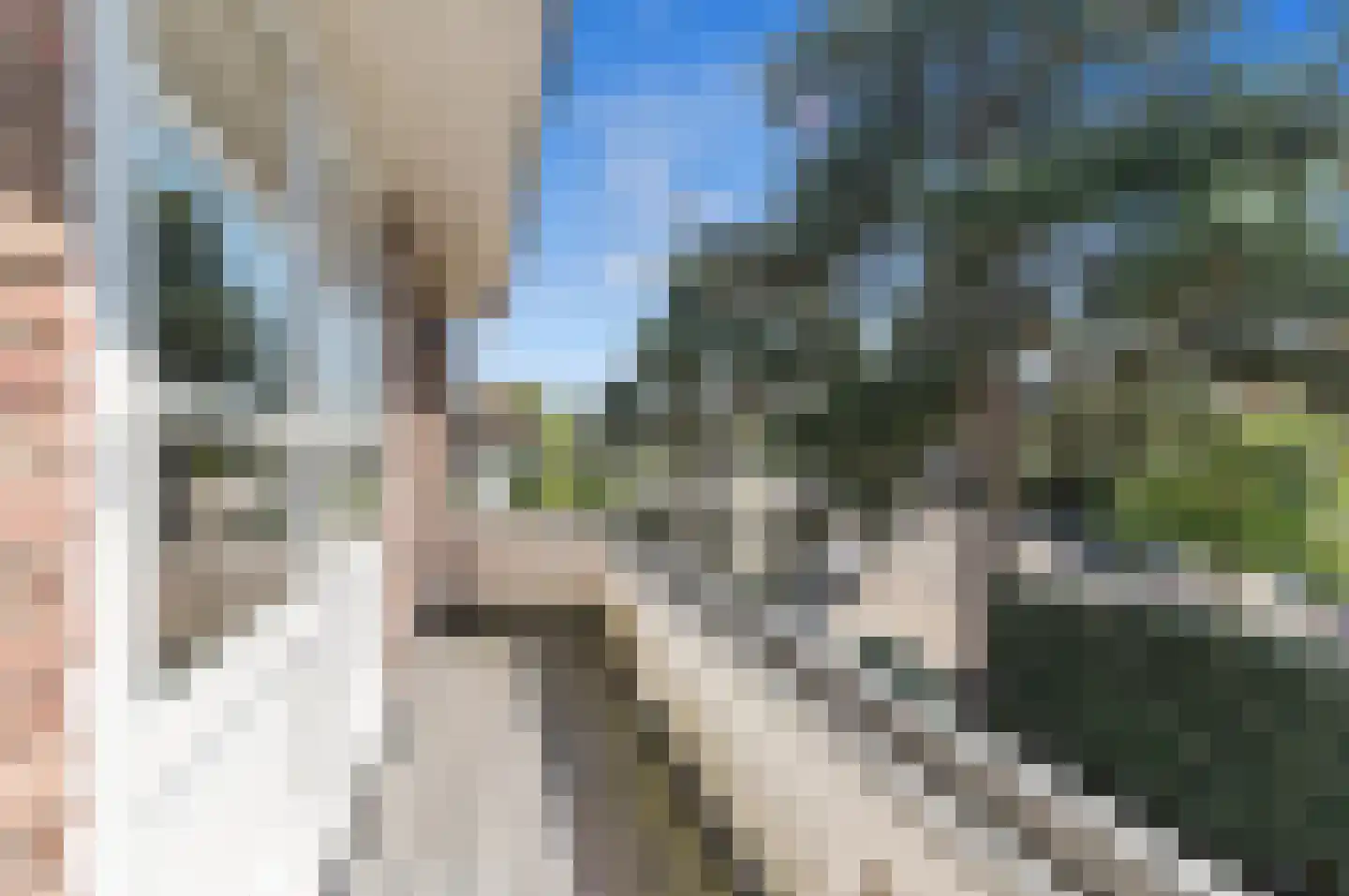 Nieboerweg 220 Den Haag thumbnail 56