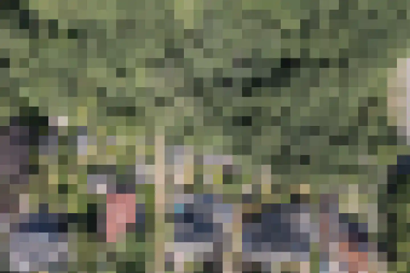 Nieboerweg 220 Den Haag thumbnail 71