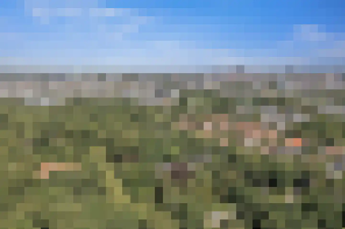 Nieboerweg 220 Den Haag thumbnail 74