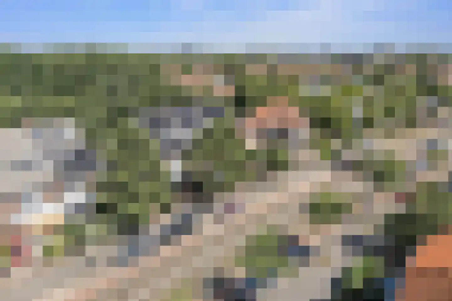 Nieboerweg 220 Den Haag thumbnail 8