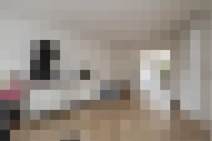 Nieënhof 19 Heeten thumbnail 10