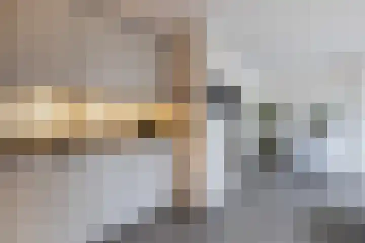 Nieënhof 19 Heeten thumbnail 17