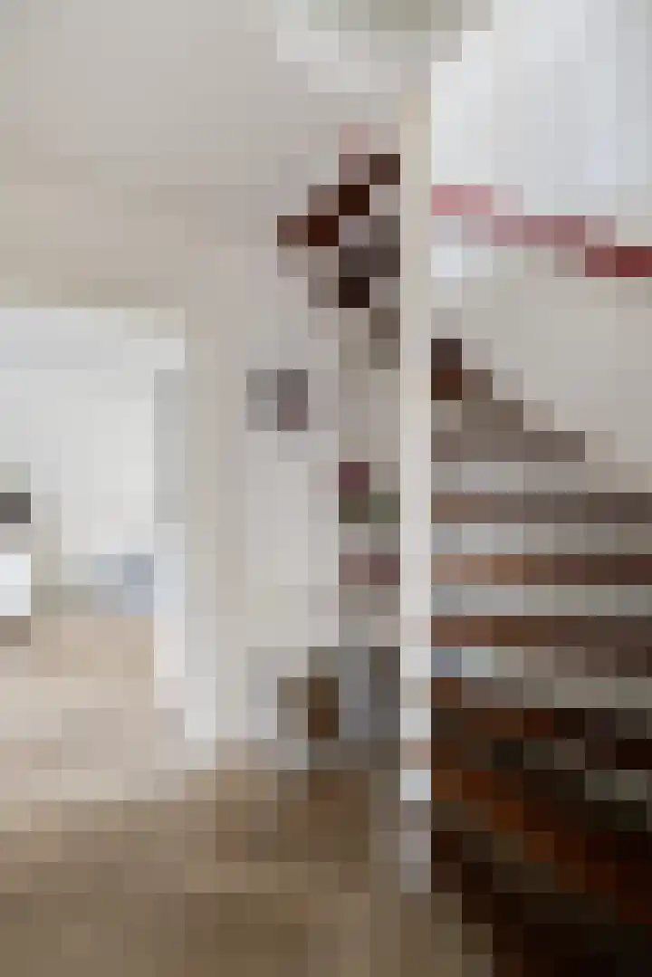 Nieënhof 19 Heeten thumbnail 18