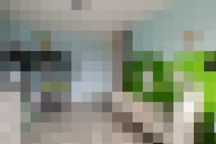 Nieënhof 19 Heeten thumbnail 24