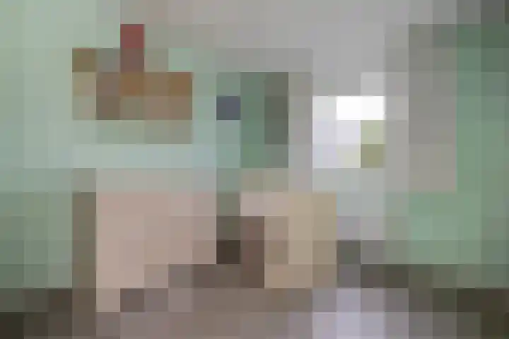 Nieënhof 19 Heeten thumbnail 25