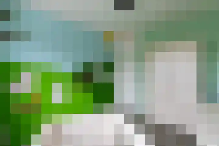 Nieënhof 19 Heeten thumbnail 26