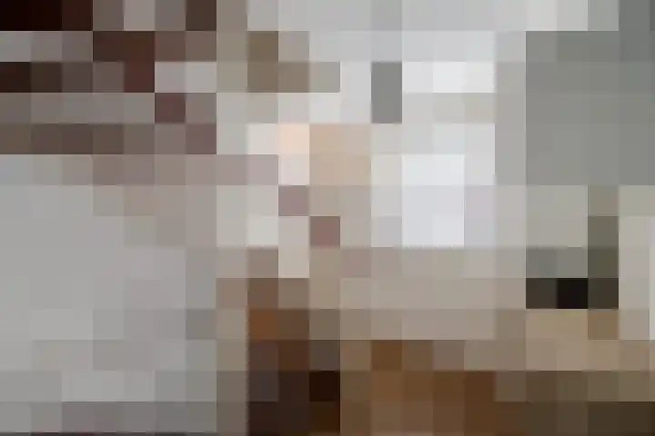 Nieënhof 19 Heeten thumbnail 32