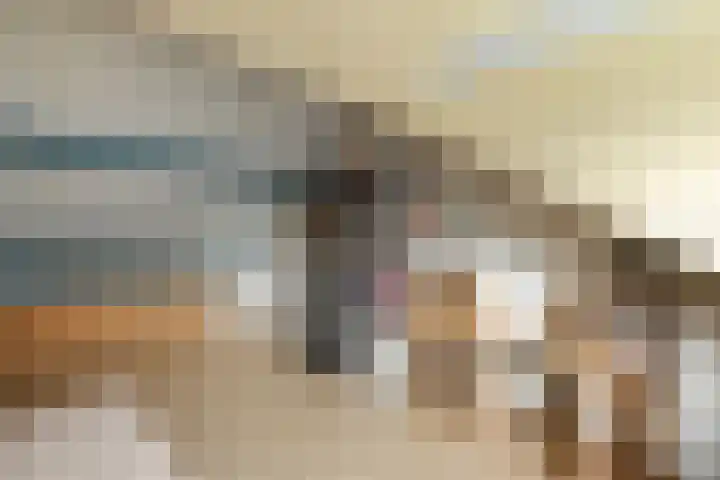 Nieënhof 19 Heeten thumbnail 34