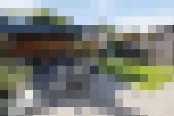 Nieënhof 19 Heeten thumbnail 44