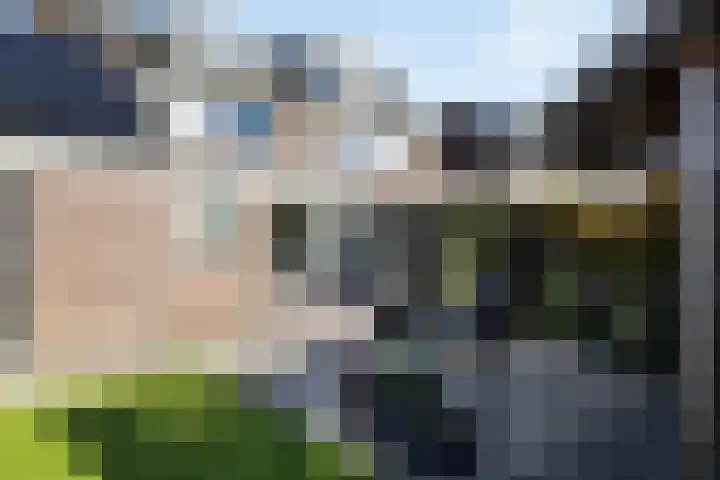 Nieënhof 19 Heeten thumbnail 45