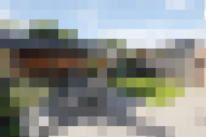 Nieënhof 19 Heeten thumbnail 46