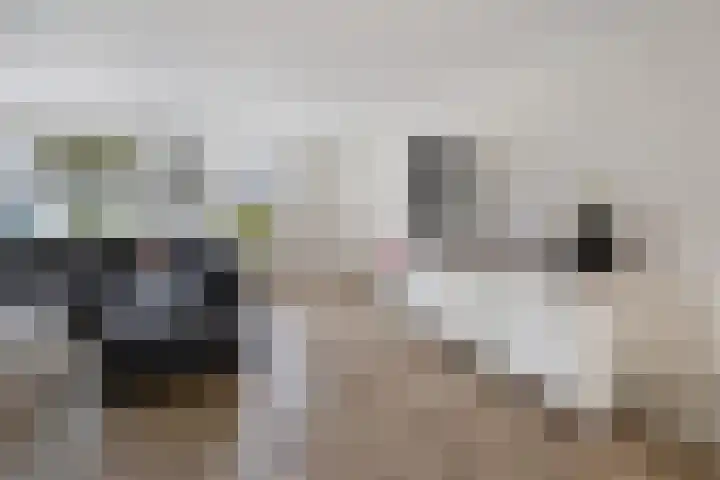 Nieënhof 19 Heeten thumbnail 9