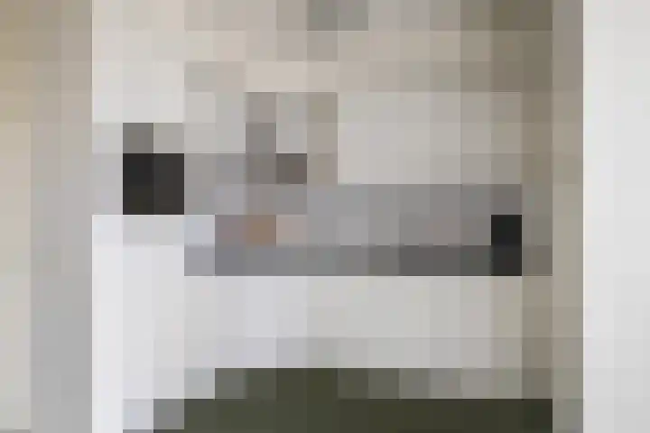 Nieënhof 20 Heeten thumbnail 11