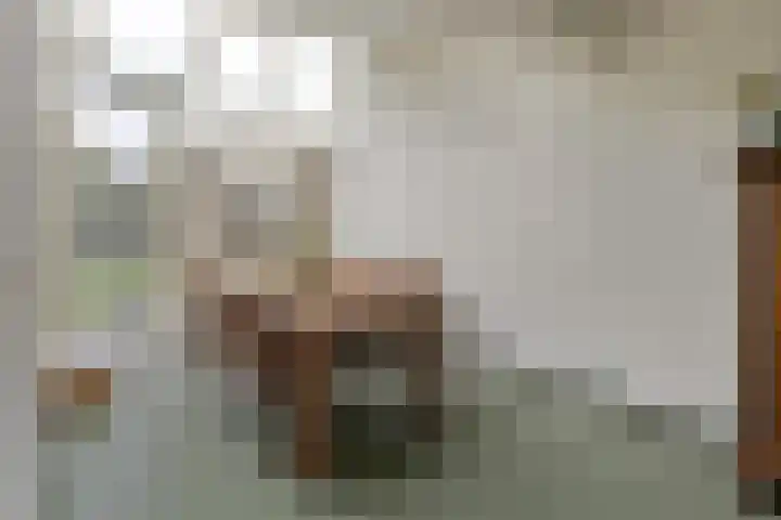 Nieënhof 20 Heeten thumbnail 13