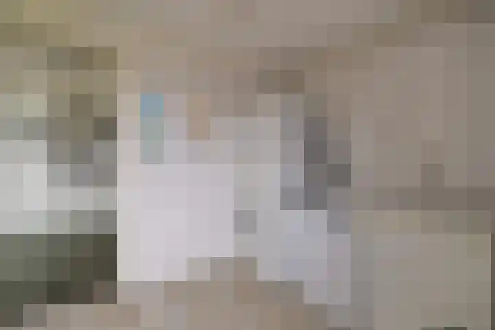 Nieënhof 20 Heeten thumbnail 15
