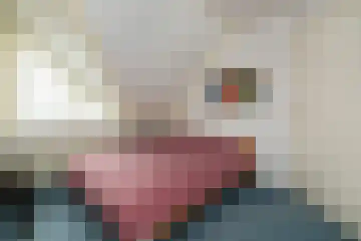 Nieënhof 20 Heeten thumbnail 17