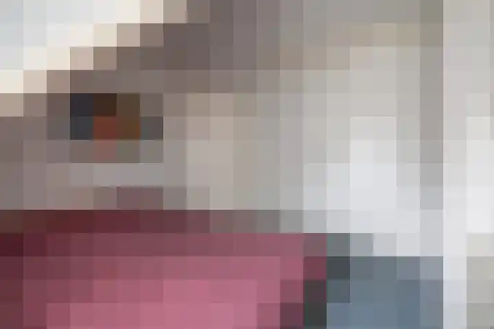 Nieënhof 20 Heeten thumbnail 18